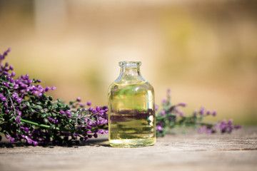 lavender oil and lavender