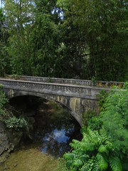 tropische Brücke