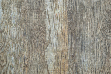 Fototapeta premium Rural rustic background. Grey wooden background. Old tree with rough texture