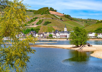 Rheintal bei Assmannshausen
