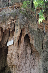 Monasterio de piedra paysage de cascade et chute d'eau