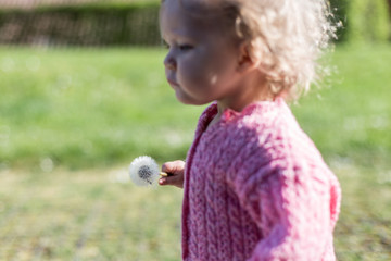 bébé marche avec une fleur