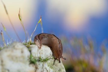 it's a small world after all