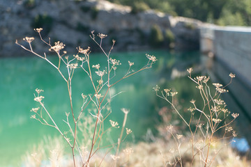 TExturas del embalse de Balgueras