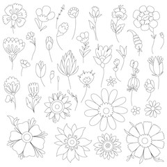 antistress coloring page fantasy flowers and leaves