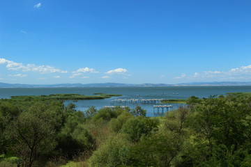 Manyas bird paradise from a top of a tower.