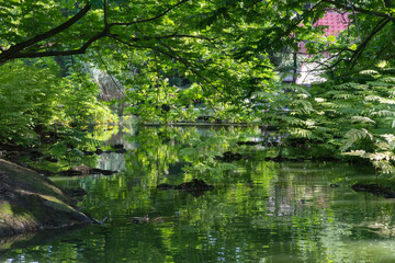 Natur pur: grüne Flusslandschaft mit Wasserspiegelung