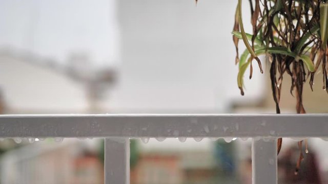 Primer plano de gotas de agua de lluvia en c&aacute;mara lenta en reja de acero blanco con fondo de cactus a&eacute;reo