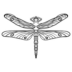 Fototapeta premium Doodles design of dragonfly, design element, adult coloring book pages.