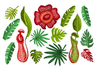 Tropical Flowers and Palm Leaves. 