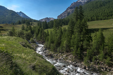 Torrent , Riou de Fouillouse , Paysage du Massif de Chambeyron au printemps , Alpes de Haute...