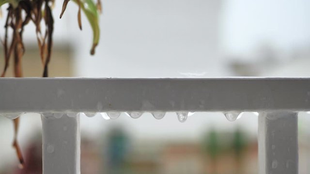 Gotas de agua de lluvia en cámara lenta en reja de acero blanco con fondo de cactus aéreo de puntas secas