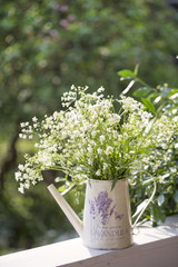 Cow Parsley In Vase With French Word For Lavender