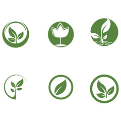Set Green garden green leaf Logo Template