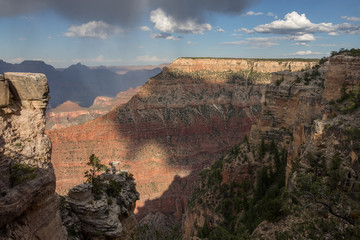Fototapeta na wymiar Afternoon view of the Grand Canyon