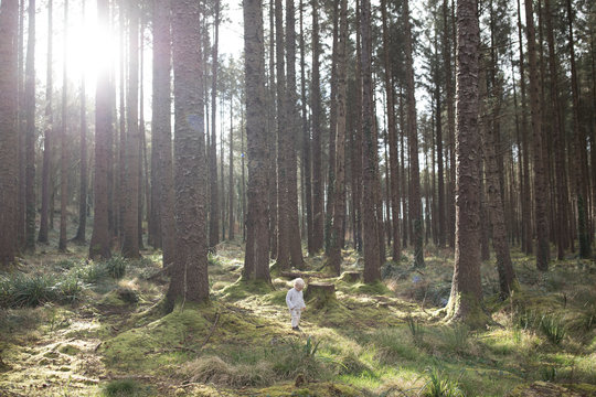 Child playing in forest