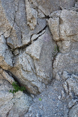 The surface of the big grey rock closeup with splits and ledges