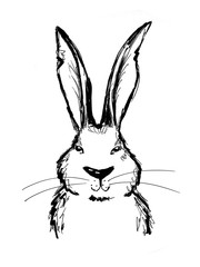 Hand drawn easter  bunny smiling isolated on white