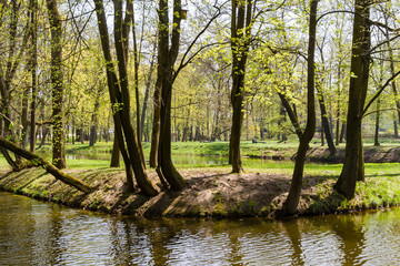 Wiosna w Parku Lubomirskich, Dojlidy, Białystok, Podlasie