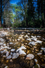 kleiner Fluss mit Steinen und klarem Wasser in der Natur 