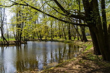 Wiosna w Parku Lubomirskich, Dojlidy, Białystok, Podlasie