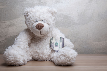 image of toy bear money 