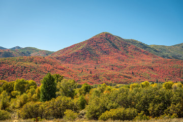 Park City, Utah, USA foliage along the Wasatch Back in autumn.