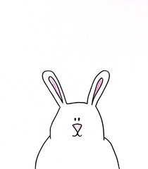 hand drawn rabbit on white background