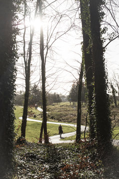 Walk in the woods in Fermanagh, Northern Ireland 