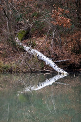 Paysage dans la Vallée de Chevreuse