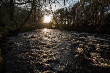 Fototapeta premium The River Dart Early Spring