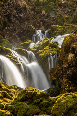 Fototapeta premium Water flowing over rocks covered in moss, Voje valley