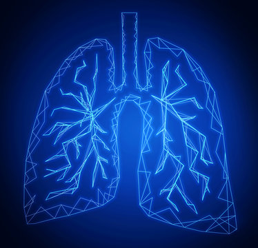 Illustration of human lungs on blue background