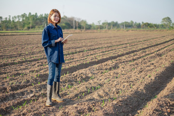 Naklejka na ściany i meble Asian farmer woman using digital tablet computer in corn field, modern technology application in agricultural growing activity, selective focus