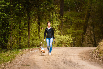 Fototapeta premium Young woman walks with a beagle dog on a leash on the forest path.