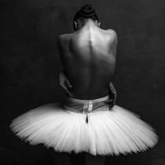 Young beautiful ballet dancer is posing in studio - 339551150