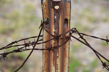 木, 自然, ブランチ, フェンス, ワイヤー, 木, 緑, かかり, 森, 古い, とぶ, マクロ, 秋, むし, さびた, 植える, ソーン, 庭, 葉, 有刺鉄線, 鳥