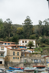 Fototapeta na wymiar Cantabria Campo Casas
