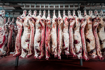 pork at the meat manufacturing