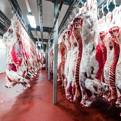 pork at the meat manufacturing