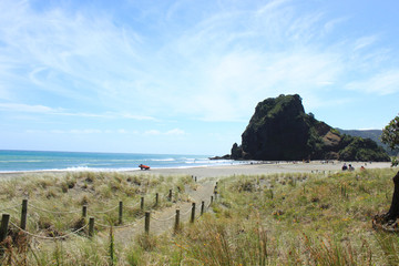 【 New Zealand 】Summer is Coming Soon