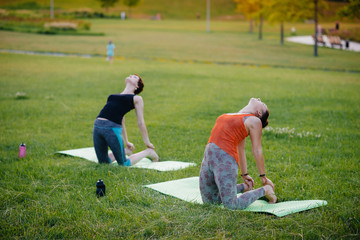 Fototapeta premium Young girls do yoga outdoors in the Park during sunset. Healthy lifestyle