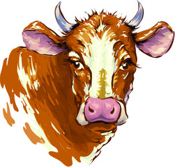 Red cow on a white background. Sketch. Cow head, freehand drawing, vector image.