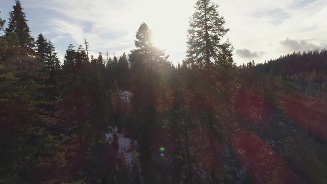 Aerial shot rises through trees in a snowy hilly terrain, with beautiful lens flare shining and billowy clouds. Winter in California Sierras.