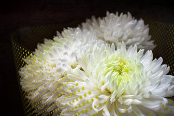 Bouquet of large white chrysanthemums