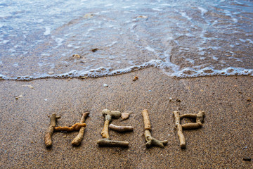 Dead corals on the ocean beach ask for help. Global warming