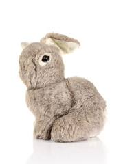 rabbit toy isolate on white