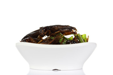 Fried crickets isolate on white