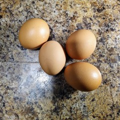 chicken eggs on kitchen table