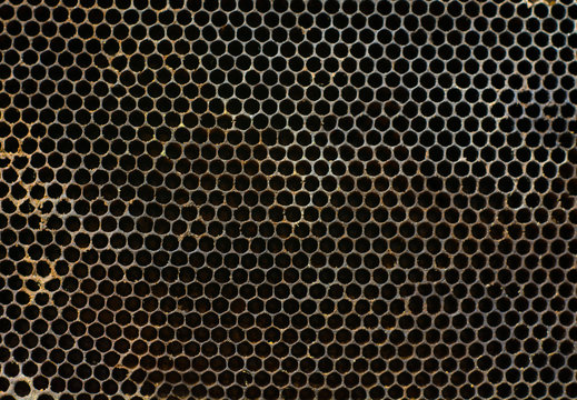 Background, textured black and white honeycombs. Bee honey frame, honeycomb wax. Beekeeping.